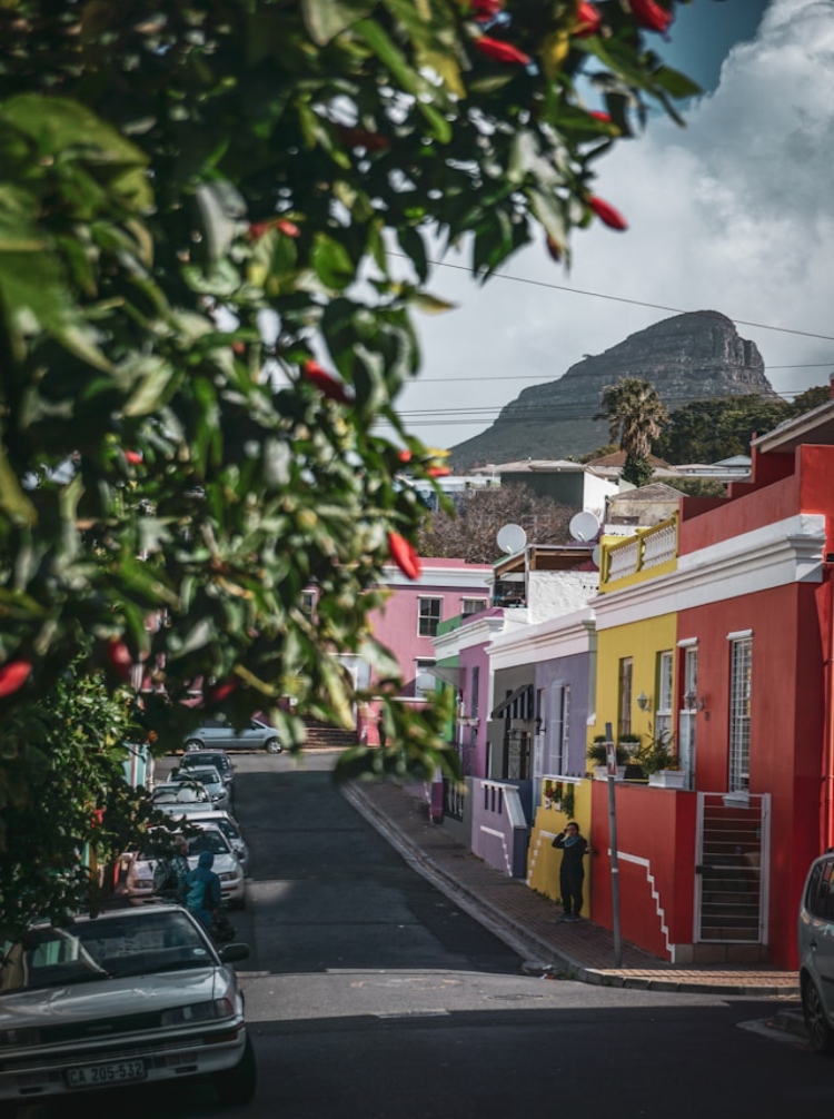 agnieszka-stankiewicz-3rKDjJtM5w4-unsplash (1)
