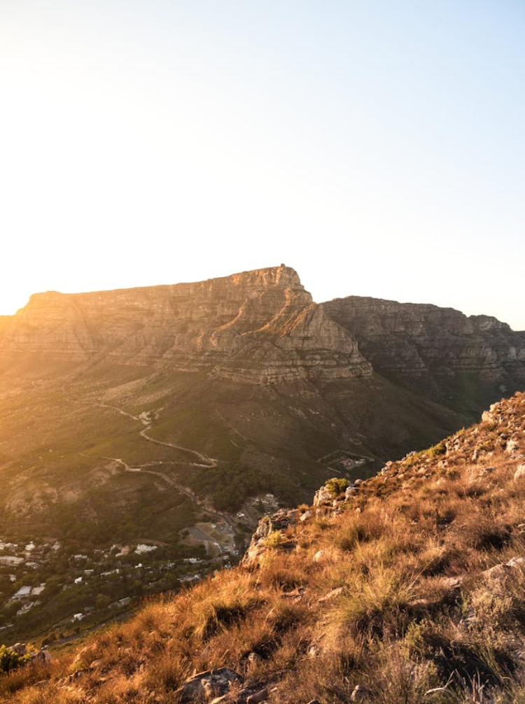 pexels-tembela-bohle-963713 (1) (1)