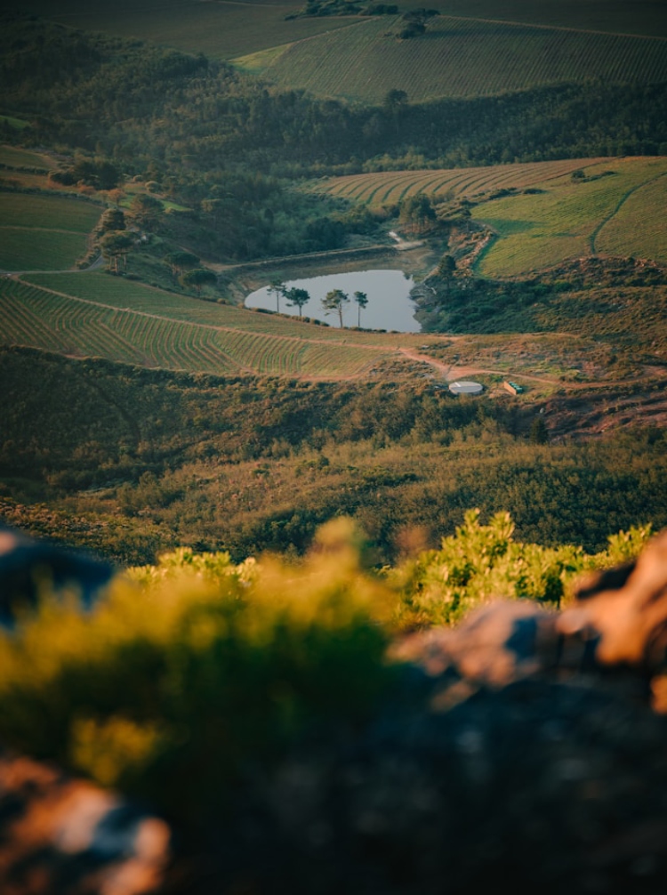 stephan-louis-9YeKTn2weX0-unsplash (1)