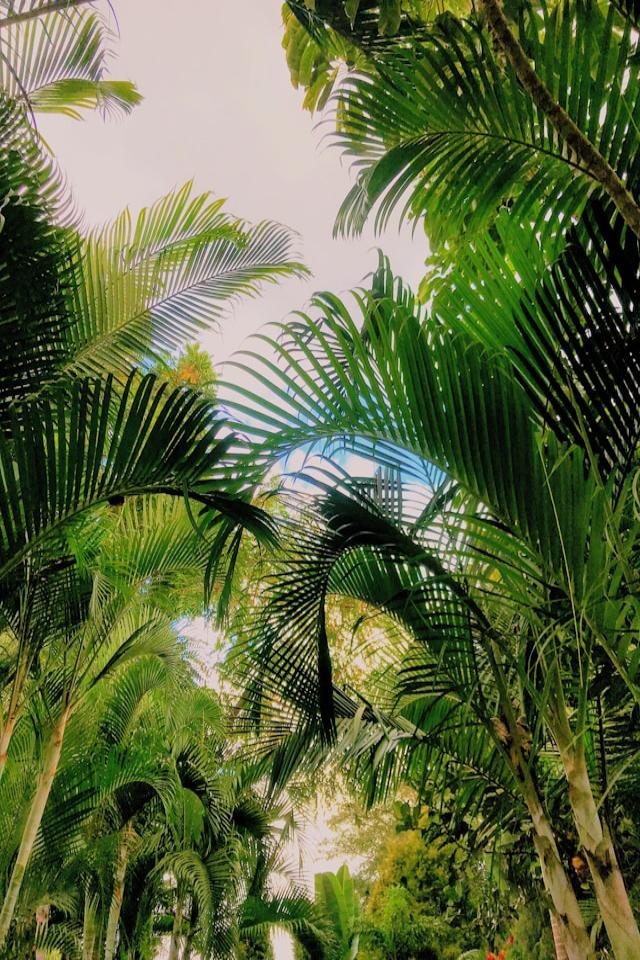 arpit-rastogi-Vn1rohRNW24-unsplash (1)