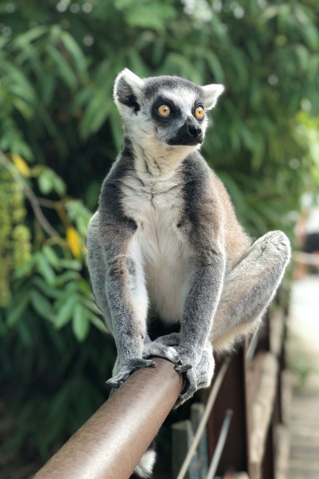 duminda-perera-oOVkoXRTzZ4-unsplash