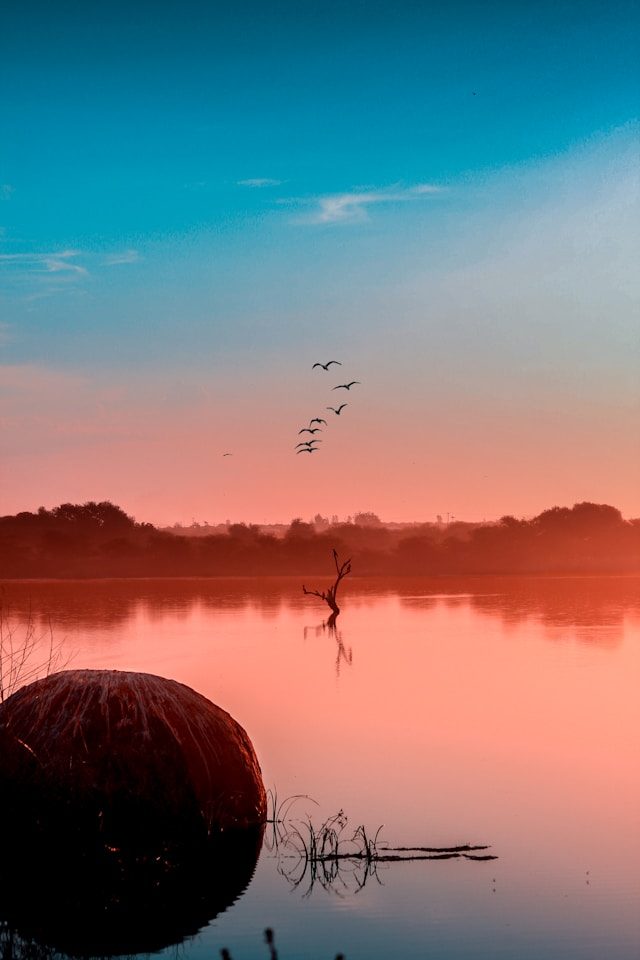 kylefromthenorth-fEU3yA0aTHc-unsplash