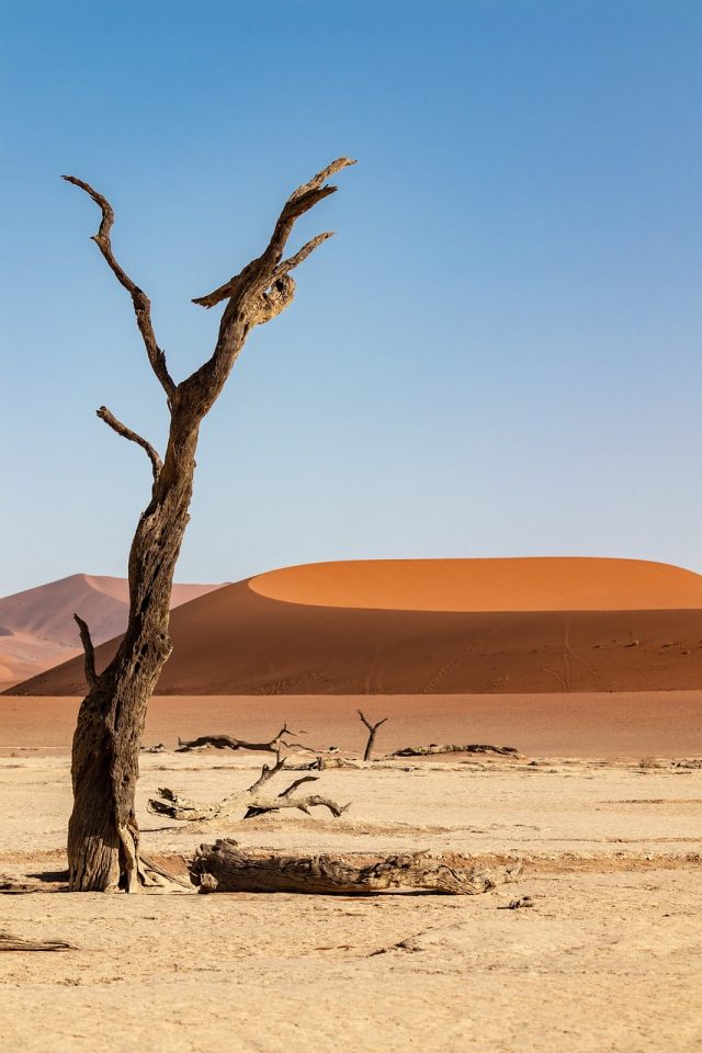 namibia-4965457_1280