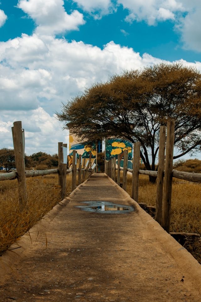 toro-tseleng-QV_Iqy3swF0-unsplash
